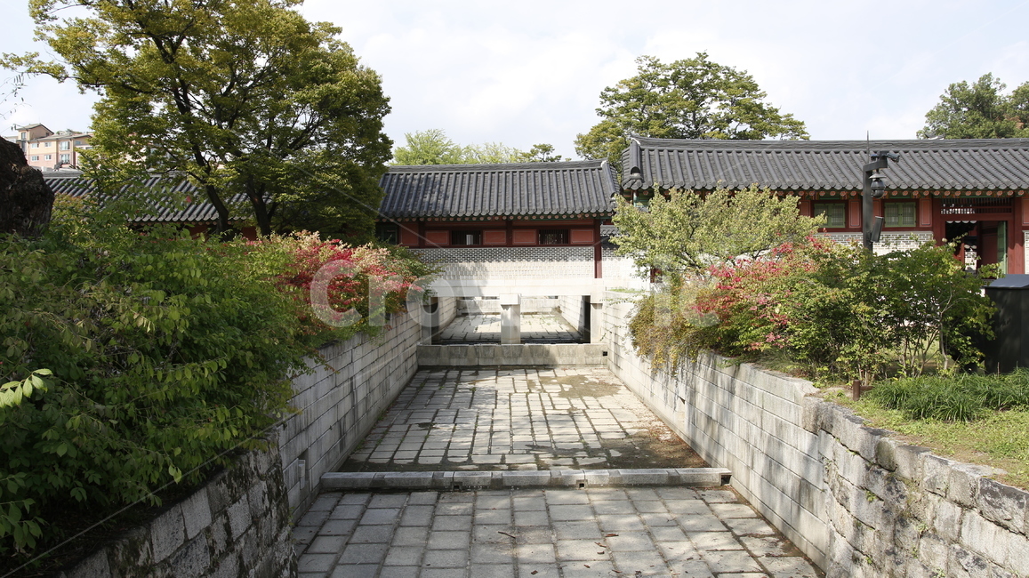 창덕궁,궁궐,조선,한옥,전통,버건디,burgundy,암적색,하늘,나무,tree,sky,green,초록,타일,tile,돌,stone