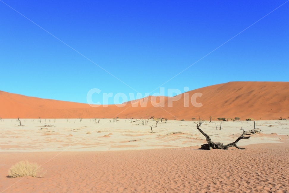 soil,흙,nature,자연,outdoors,옥외,sand,모래,dune,모래언덕,사막,desert,세계자연풍경,해외자연풍경,외국자연풍경,world nature landscape