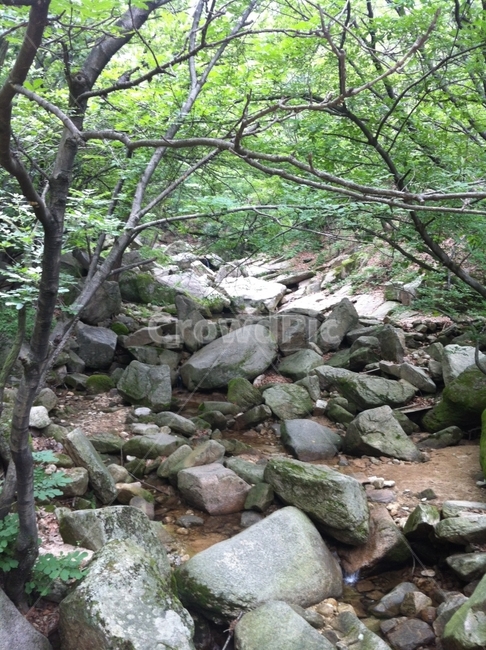 등산,경치,돌,산,나무,자연,풍경,nature,landscape,rubble,파편,slate,슬레이트