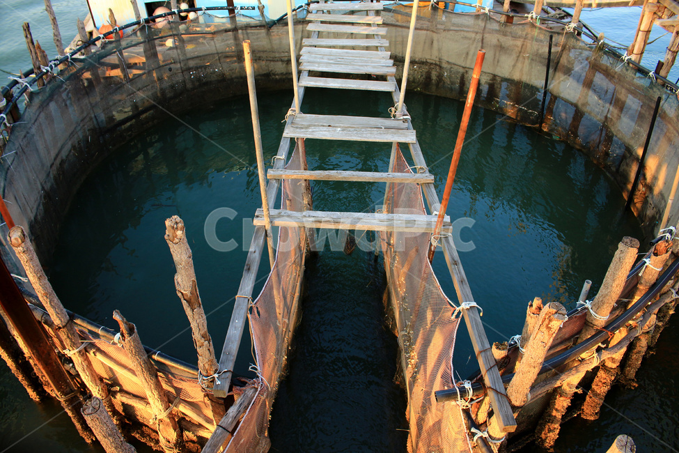 죽방,죽방시설,죽방멸치,남해,삼천포,전통어업,어업,fishery,fishing industry