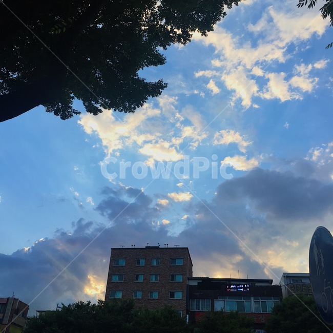 여름,하늘,구름,sky,summer
