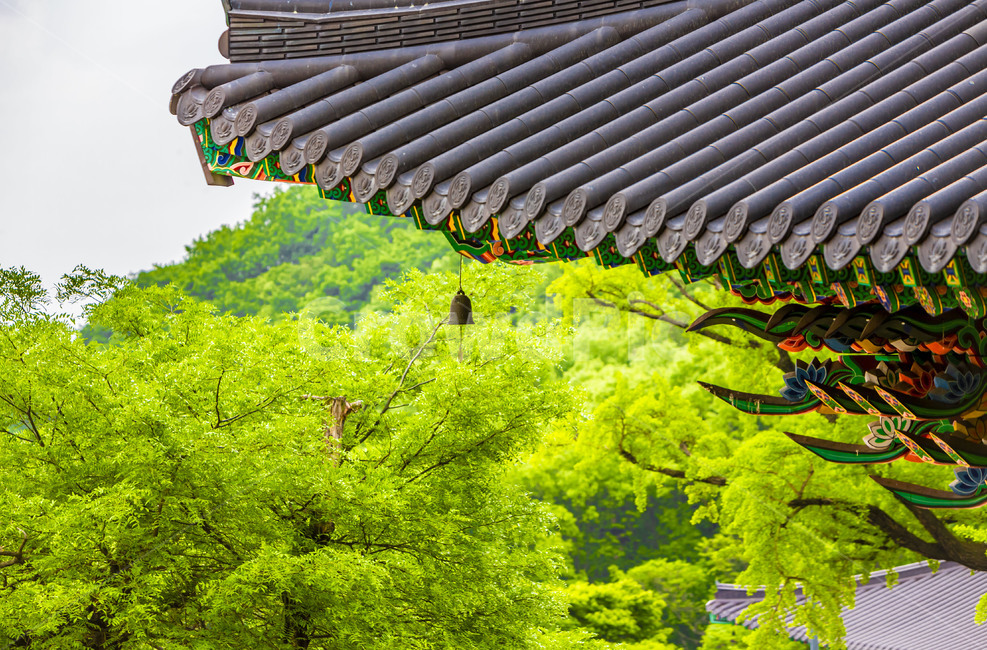 풍경,기와,지붕,처마,단청,전통건축,한옥,고건축,문양,한국전통,한국문화,korean traditional,korean culture