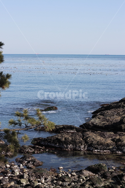 부산,송정,바다,자연풍경,해수욕장,busan,sea,beach,자연,풍경,nature,landscape,promontory,곶