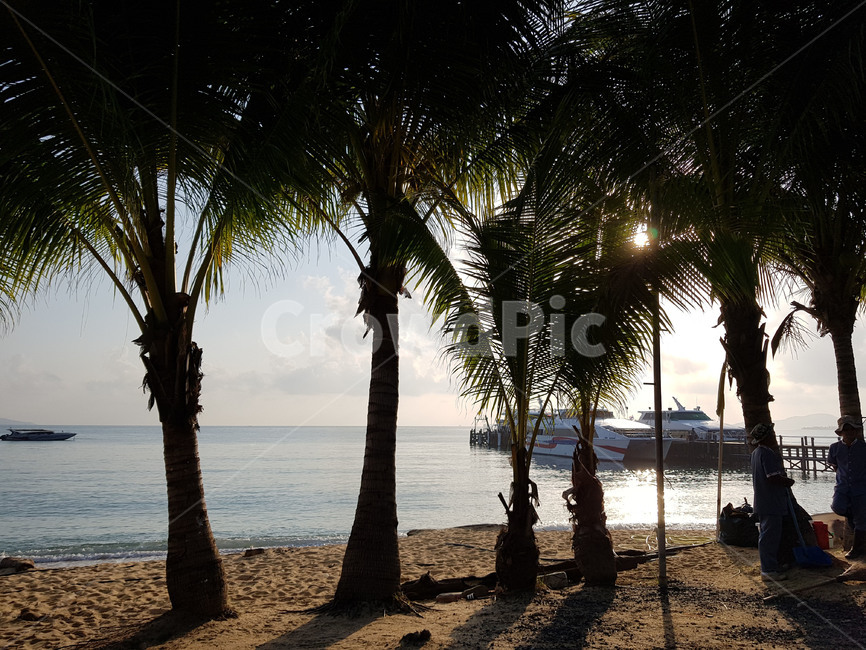 야자수,동남아,자연,노을,여름,휴식,해변,바다,beach,sea