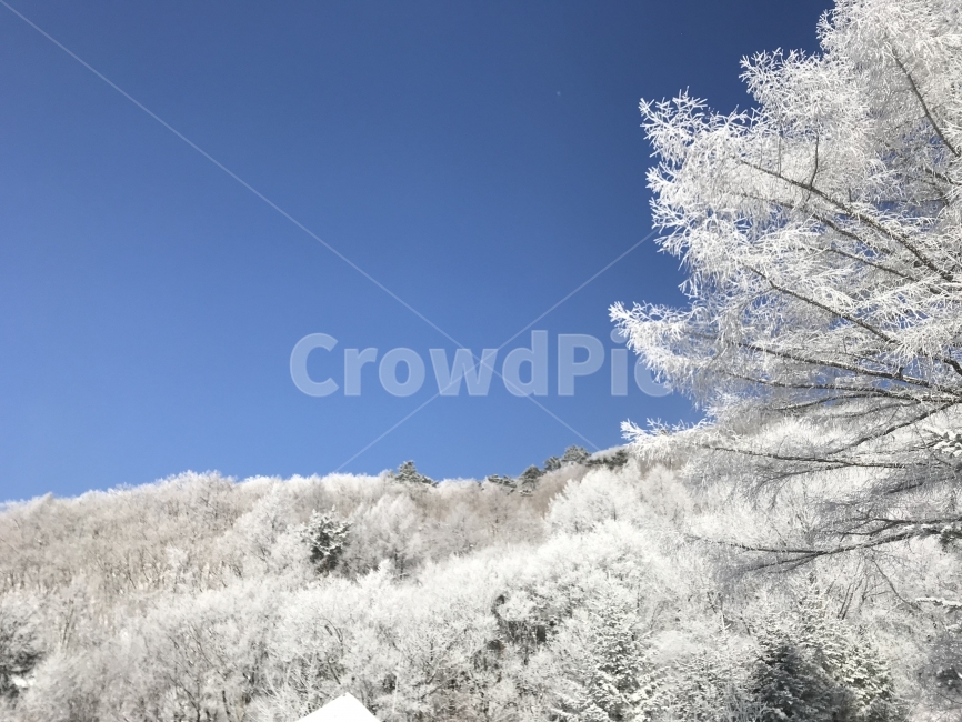 등산,산,겨울산,설산,상고대,눈꽃,자연,풍경,겨울,겨울,계절,winter,season,자연,풍경,nature,landscape,outdoors,옥외