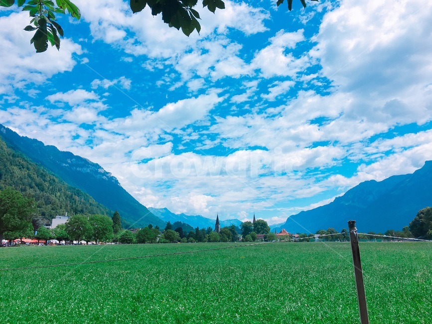 nature,자연,grass,잔디,식물,구름,자연,풍경,nature,landscape,해외,외국,세계,foreign,oversea,world,세계자연풍경,해외자연풍경,외국자연풍경,world nature landscape
