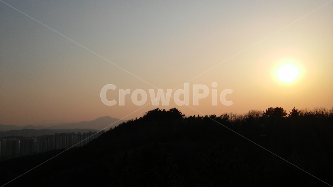 노을,일몰,석양,나무,자연
