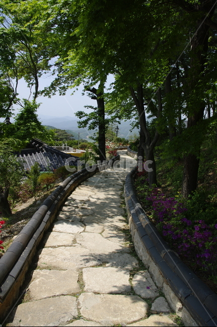 부석사,사찰,건축,전통건축,담장,traditional,길,전통,기와지붕,풍경,초록,나무,잎,식물,plant,자연,풍경,nature,landscape,garden,정원,outdoors,옥외,arbour,정자,flagstone,판석