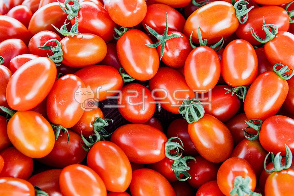 Red,mini tomatoes,harvesting,Cherry tomato,fruit,Agriculture,Agricultural products,tomato,vegetable