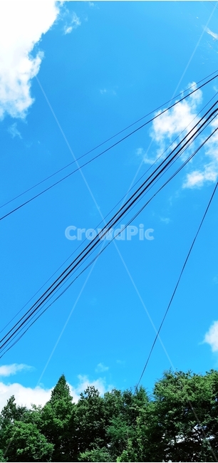 하늘,구름,나무,전선줄,푸른색,자연,풍경,nature,landscape,cable,케이블,power lines,전력선,electric transmission tower,송전탑