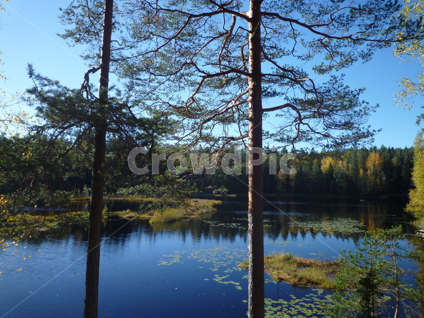 나무,호수,공원,가을,하늘,강,lake,tree,park,autumn,weather,sky,날씨