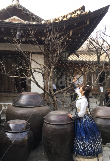 한복,여성,여자,인물,처녀,처자,참한,단아한,아름다운,전통,한국,항아리,옹기,종가집,구수,기와,기와집,가옥,장독,장독대,소녀,의상,복장,동양의,한국전통,한국문화,korean traditional,korean culture,한복,한국전통의상,hanbok,korean traditional clothes,사람,인물,인간,human,person,여성,여자,woman,female,lady,연출,컨셉,콘셉,direction,concept