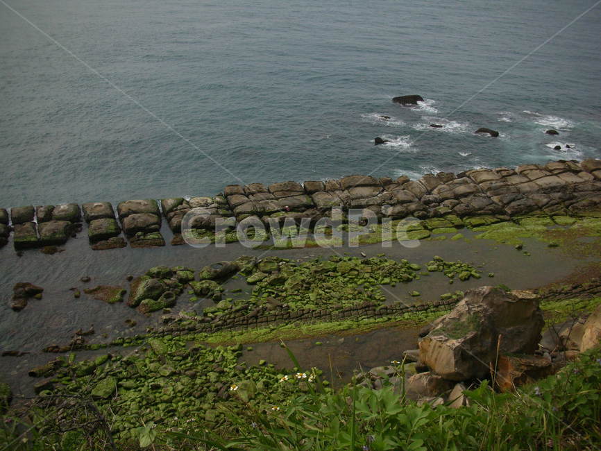 자연,해안,암석,대만,바다,sea,coast,rock,nature,자연,풍경,nature,landscape,plant,식물