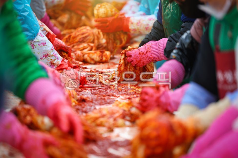 김치,김장,김장준비,김치공장,고추가루,공장,절임배추,배추김치,전통음식,겨울음식,야채,채식,발효,신선한,빨간,단체,봉사활동,행사,배추,고추장,양념,반찬,손,한식,한국음식,한국