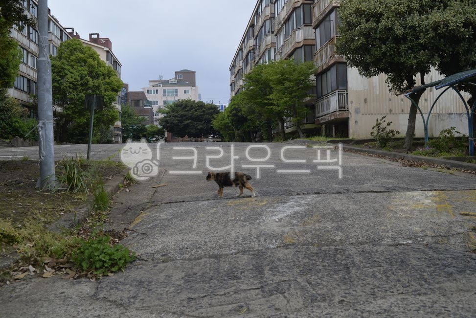 제주,이도주공,재건축,철거,공사장