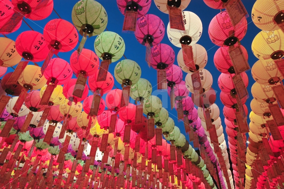 연등,불교,사찰,절,종교,컬러,칼라,컬러풀,일렬,나열,풍경,야경,불빛,빛,배경,백그라운드,한국전통,한국문화,korean traditional,korean culture,종교,신앙,religion,belief,faith,기념일,축하,anniversary,congratulation,celebrate,celebration,축제,행사,festival,carnival,event