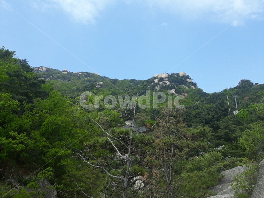 산,등산,나무,정상,봉우리,자연,풍경,nature,landscape,outdoors,옥외