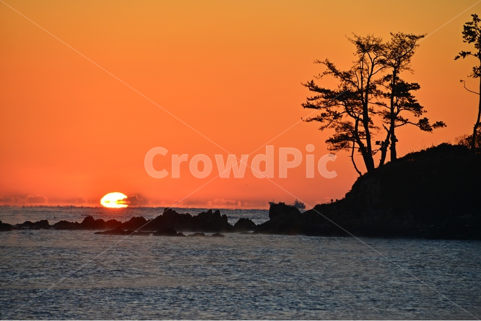 nature,자연,outdoors,옥외,sky,하늘,dawn,새벽,redsky,붉은하늘,sunlight,햇빛,울산,울주,명선도,강양항,명선도아침,일출,해돋이,여명,소나무,경치,경관,풍경,물안개,자연,풍경,nature,landscape