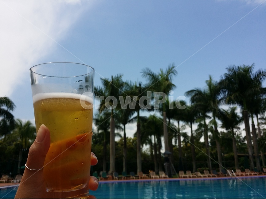 맥주,야자수,수영장,리조트,야외수영장,beer,tree,swimmingpool,pool,여행,휴가,traveling,vacation,trip,술,주류,alcohol