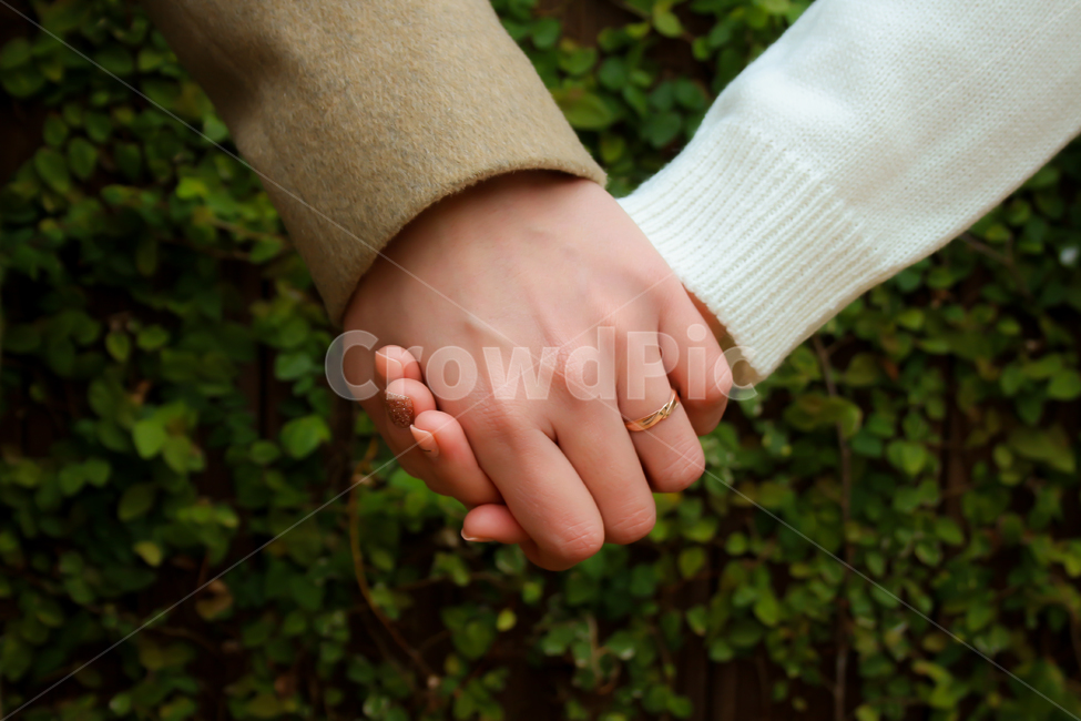 사랑,연인,데이트,손,love,약혼,커플,반지,부부,웨딩,결혼,가족,컨셉,콘셉,신혼,couple