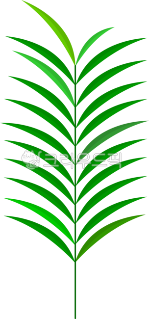 나뭇잎,나무잎,야자수,야자수잎,풀,식물