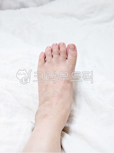 발,발바닥,신체부위,사람,발목,발톱,bodypart,person,ankle,발모양,신체,사람발