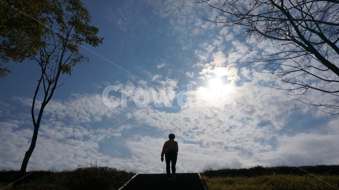 뒷모습,언덕,역광,오르막,정상,오르다,걷다,오르막길,구름,몽글몽글,높쌘구름,인물역광,나무,나무역광,구름속태양,잔디,자연,back,realside,fromtheback,herback,cloud,sky,tree,hill,walkinguphill,upahill