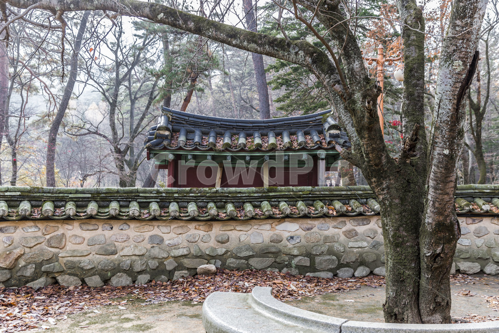 기와,담벼락,전통담,사찰,고찰,무늬,한국전통,한국문화,korean traditional,korean culture,건축물,건물외관,exterior,building,structure,architecture,construction