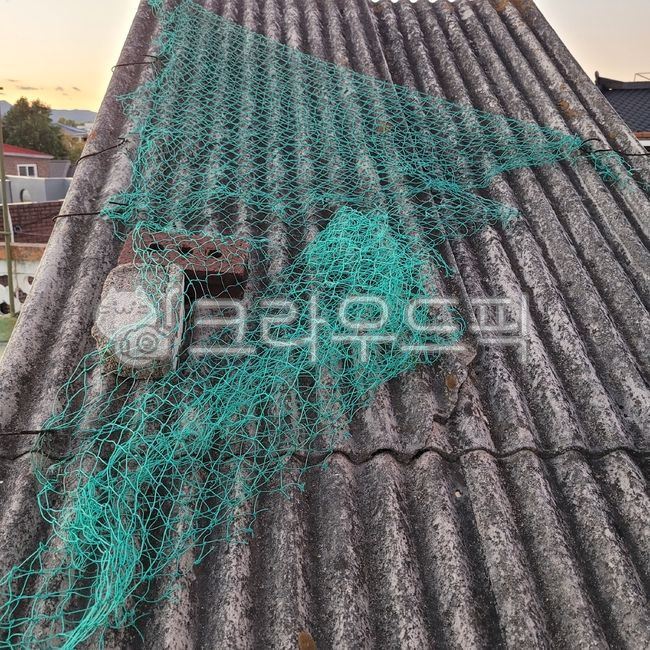 그물,그물망,지붕,벽돌,옛날집,주택,폐허,roof,폐기물,쓰레기,trash