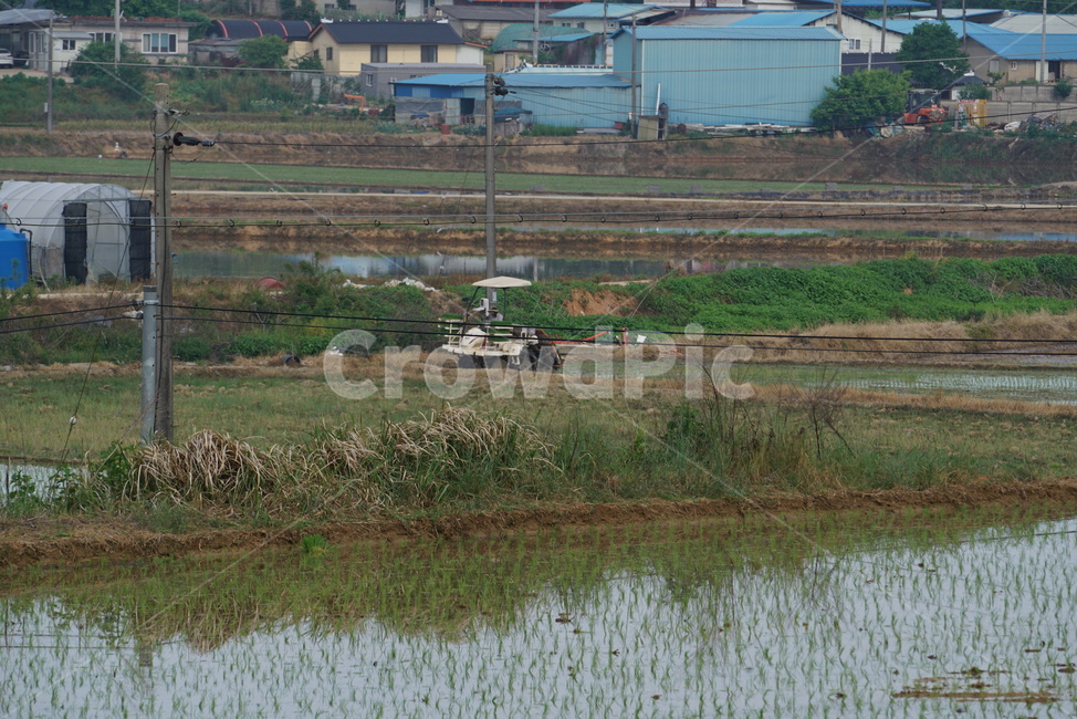 모내기,농촌풍경,모심기,모내기철,이양기,농업,농사,agriculture,farming,farming industry