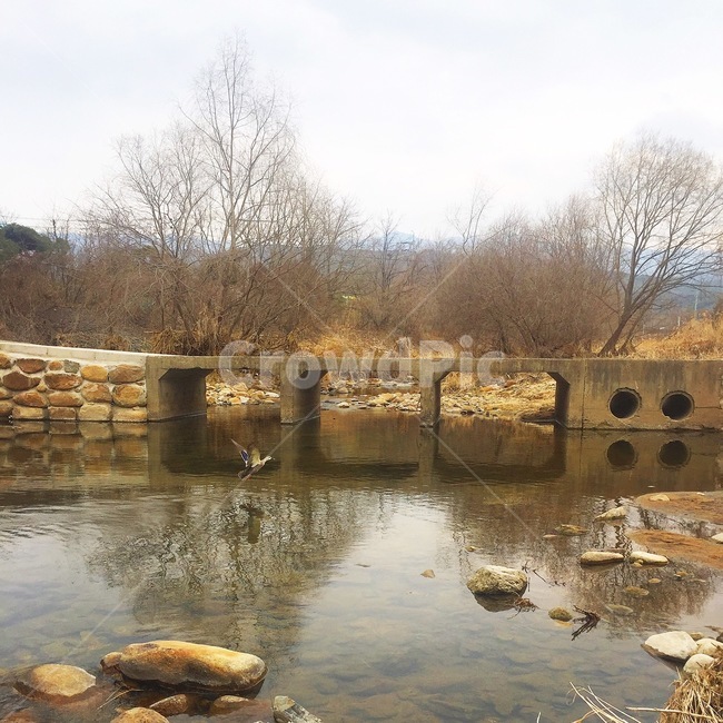 계곡,오리,겨울,풍경,시골,자연,풍경,nature,landscape