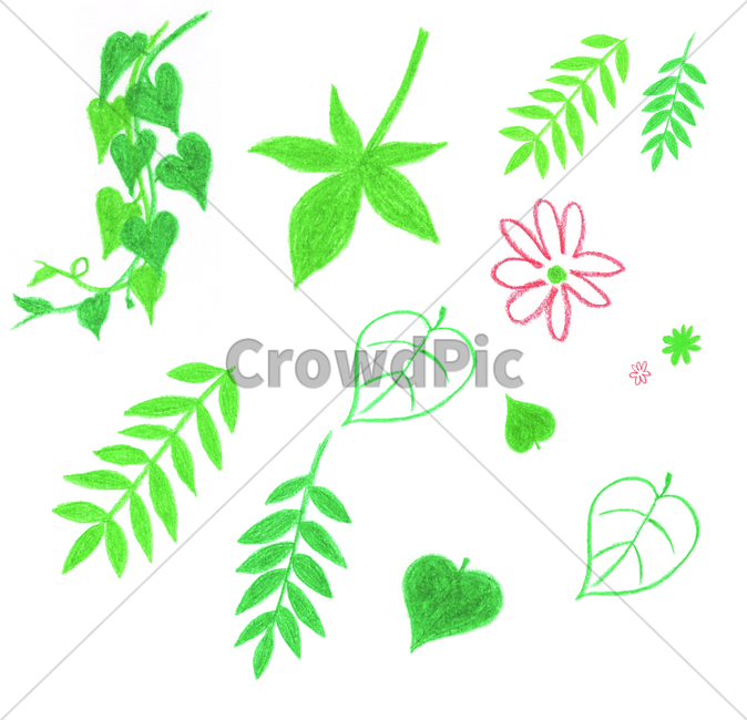 식물,잎,green,초록,꽃,flower,bloom,blossom,blow,나뭇잎,leaf,foliage,umbrage,색연필,나무,tree,plant,wood,coloredpencil,greenery,손그림,식물,자연,plants,nature,그래픽,일러스트레이션,graphic,illustration