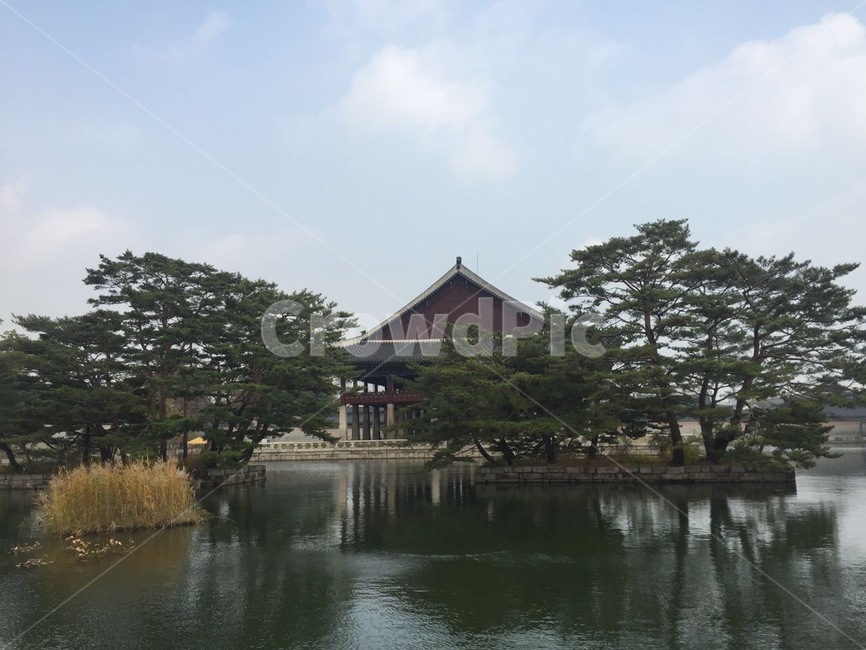 나무,경회루,경복궁,물,가을