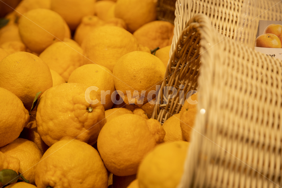 한라봉,제주도,농산물,농특산물,껍질,맛,모양,맛있는,음식,식물,농작물,작물,신선한,재배,특산물,농사,바구니,오브젝트,음식,식재료,요리,food,cook,meal,dishes,food reserves,과일,열매,fruit