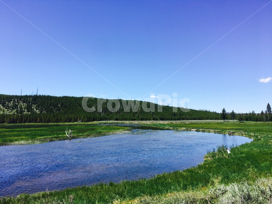 water,자연,nature,outdoors,옥외,나무,plant,tree,강,평화,자연,풍경,nature,landscape,물,식물,fir,전나무