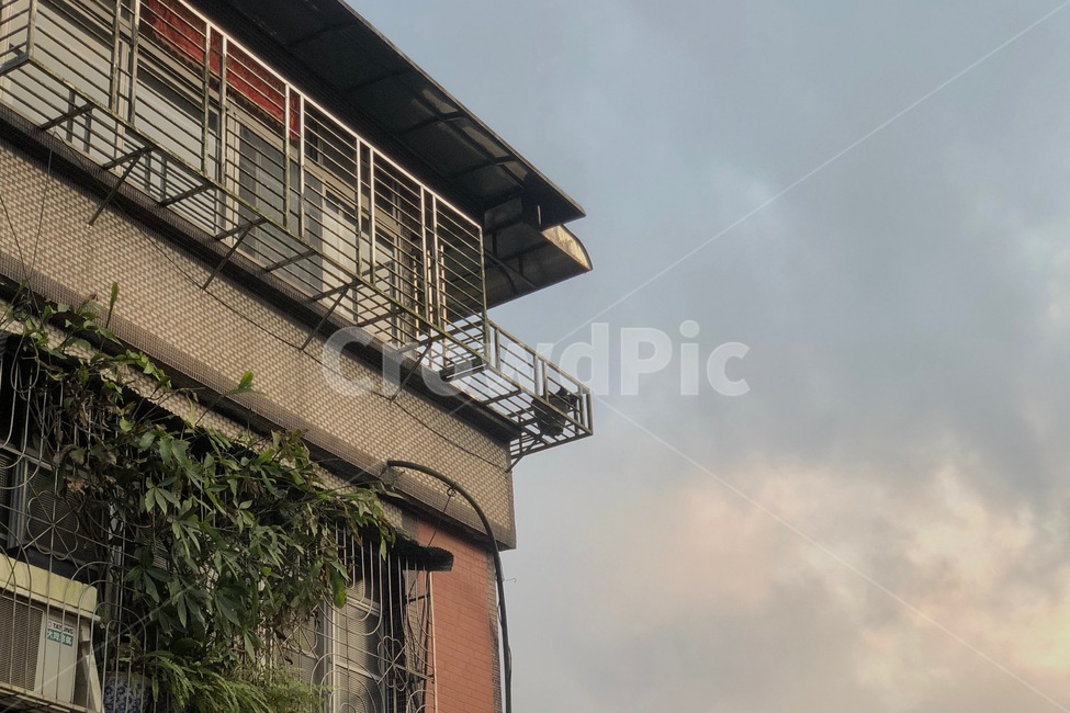 집,지붕,식물,하늘,일몰,건축물,건물외관,exterior,building,structure,architecture,construction