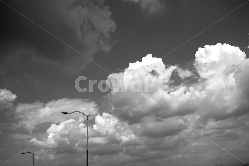 구름,하늘,가로등,풍경,모노톤,자연,풍경,nature,landscape,흑백,모노톤,monochrome,black and white,weather,날씨,cloud,outdoors,옥외,cumulus,적운,sky