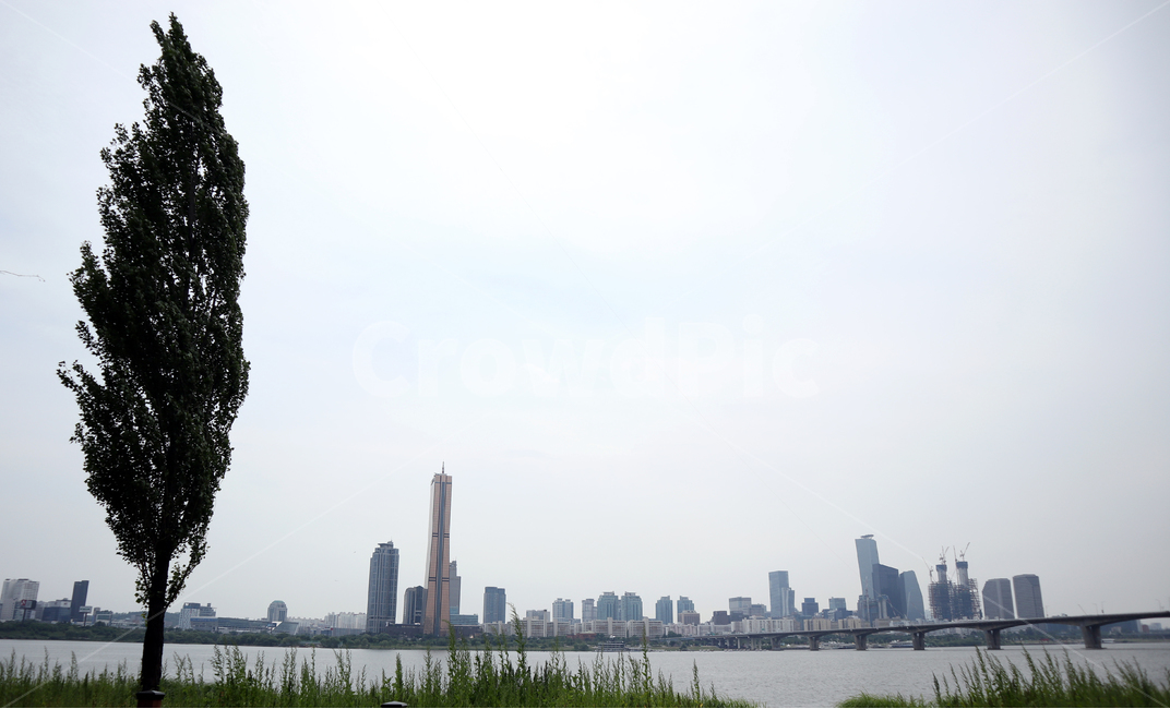 한강,여름,배경화면,자연풍경,풍경사진,큰나무,나무,한강풍경,한강사진,한강배경,강,도시,풍경,city,landscape,한국도시풍경,한국도시경관,korea cityscape,랜드마크,landmark,tourist attraction,한국랜드마크,한국관광지,한국명소,korea landmark,korea tourist attraction,식물,자연,plants,nature,나무,trees,wood