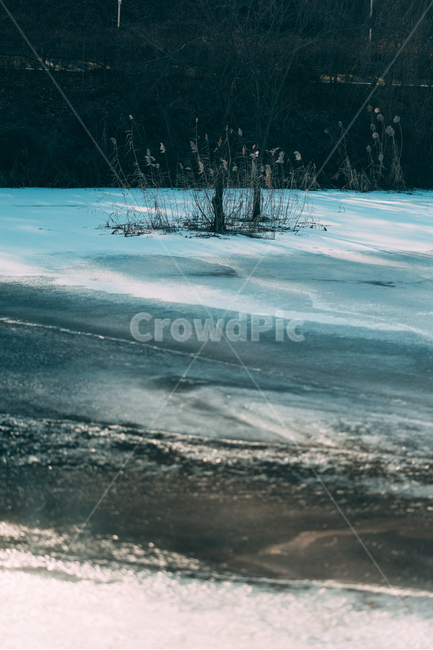 얼음,눈,겨울,배경화면,landscape,자연,물,강,winter,함박눈,화이트,snow,plants,겨울,계절,winter,season,자연,풍경,nature,landscape,tree,나무,plant,식물