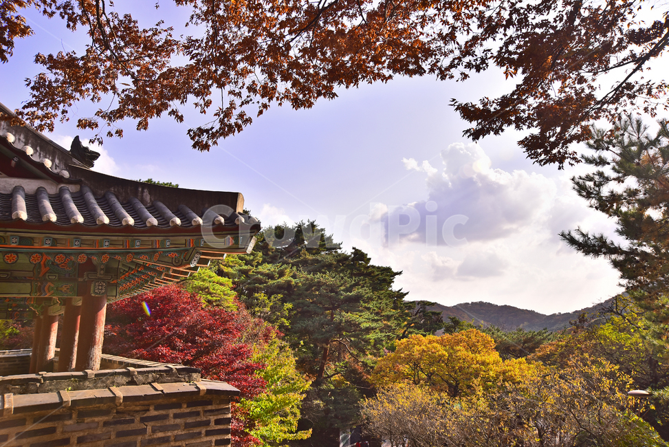가을,가을풍경,자연,한국전통,기와집,산,가을배경,fall,autumn,season,가을단풍,nature,outdoors,옥외,남한산성,mountain,mountainrange,배경,바탕,백그라운드,background,시즌,계절,골짜기,가을분위기,찬란한,형형색색,칼라풀,colorful,architecture,건축물,building,건물,가을,계절,fall,autumn,season,temple,신전