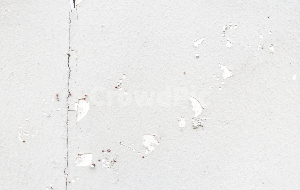 벽,배경,background,grey,시멘트,회색,낡은,vintage,마른,dry,wall