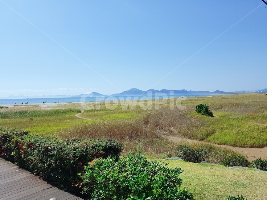 자연,풍경,산책길,산책,바다