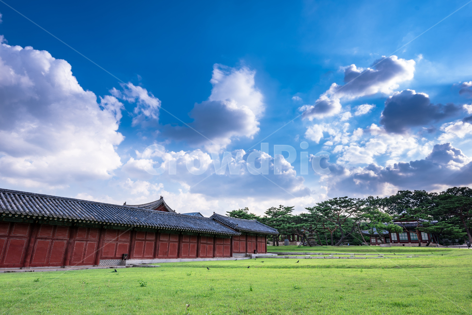 창경궁,궁전,전통,조선시대,건물,잔디,한국전통,한국문화,korean traditional,korean culture,건축물,건물외관,exterior,building,structure,architecture,construction
