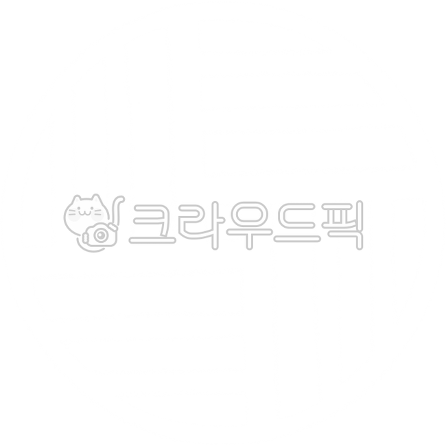 전통문양,전통패턴,전통무늬,단청문양,민화문양,궁중문양,전통디자인,전통일러스트,동양풍패턴,한국적디자인,전통감성,고전문양,전통배경,명절디자인,설날디자인,한복문양,전통텍스처,패턴디자인,koreantraditionalpattern,전통장식,손그림,핸드드로잉,일러스트,다꾸,스티커,장식,크레파스