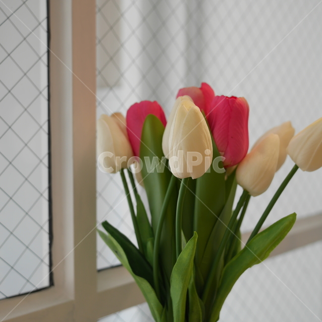 인테리어,인테리어소품,꽃,조화,플라워인테리어,카페인테리어,꽃,flower,실내용화초,화분,화초,house plant,색깔,색상,색채,색감,color sense,color sensitivity,feeling of color,인테리어,실내디자인,interior design