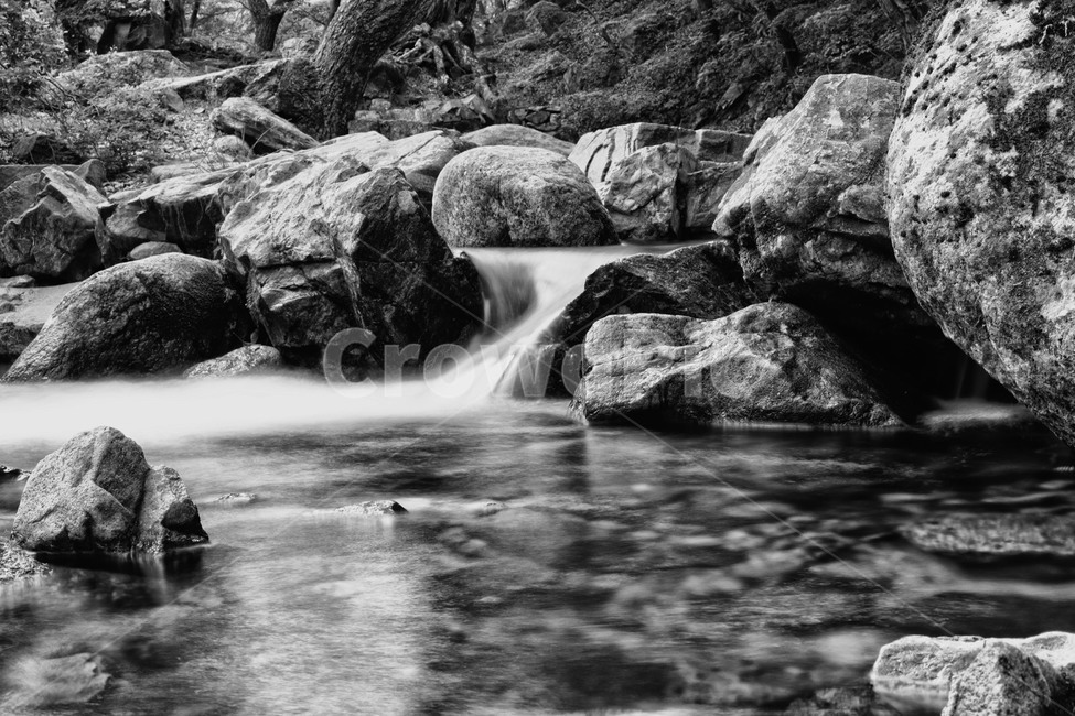 계곡,흑백,물,바위,숲,나무,돌,자연,풍경,nature,landscape,흑백,모노톤,monochrome,black and white,water,outdoors,옥외,river,강