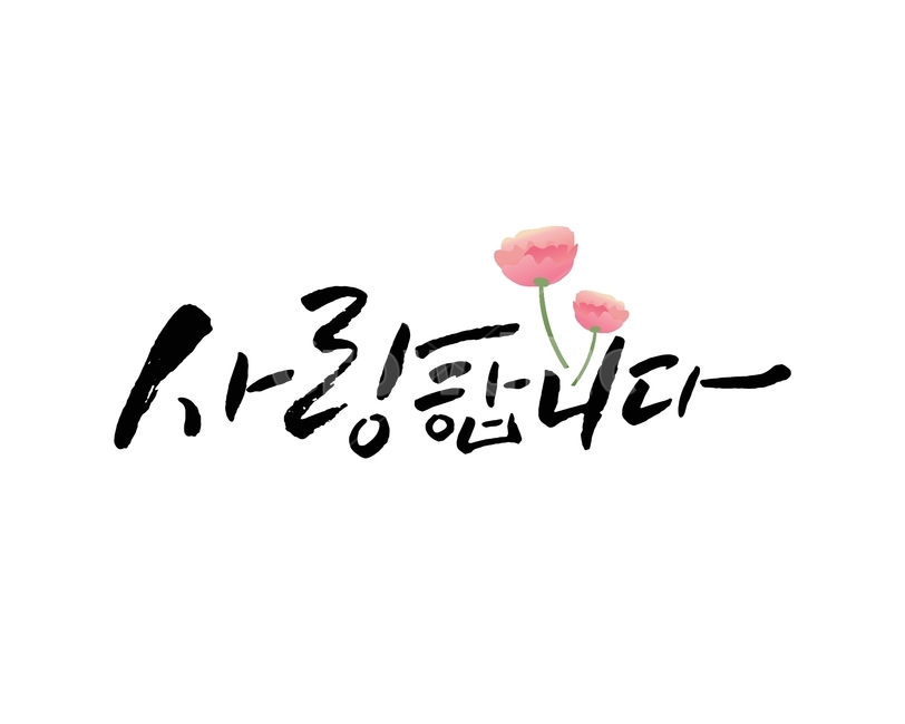 캘리그라피,어버이날,감사,감사인사,카네이션,붓글씨,손글씨,감동,인사,기념일,감정표현,기분,feeling,emotion,누끼,remove background,캘리그라피,손글씨,calligraphy