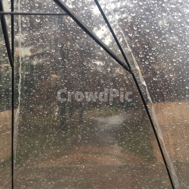 우산,우산속풍경,빗방울,rain,umbrella,raindrop,raindrops,길거리,산책로,비,비오는날,rain,rainy