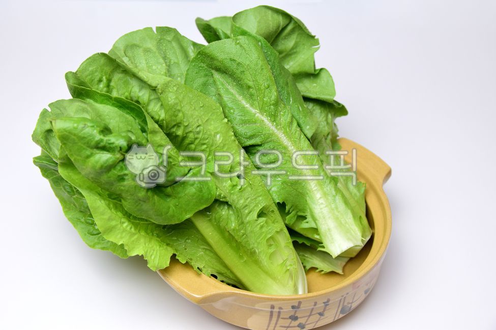 green,white background,vegetable,leaf,lettuce,vegetables,Lettuce,Romaine Lettuce,foodreserves,Romaine,ingredients