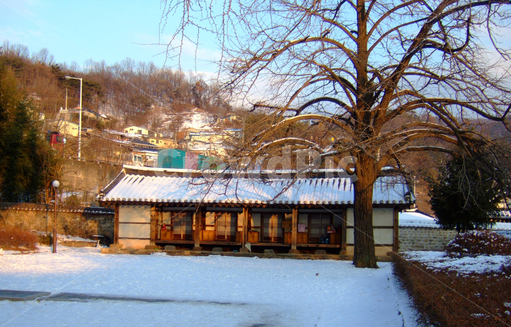 한옥,겨울,눈,한국,전통집,기와,koreanstylehouse,oriental,winter,snow,tileroofedhouse,겨울,계절,winter,season,한국전통,한국문화,korean traditional,korean culture